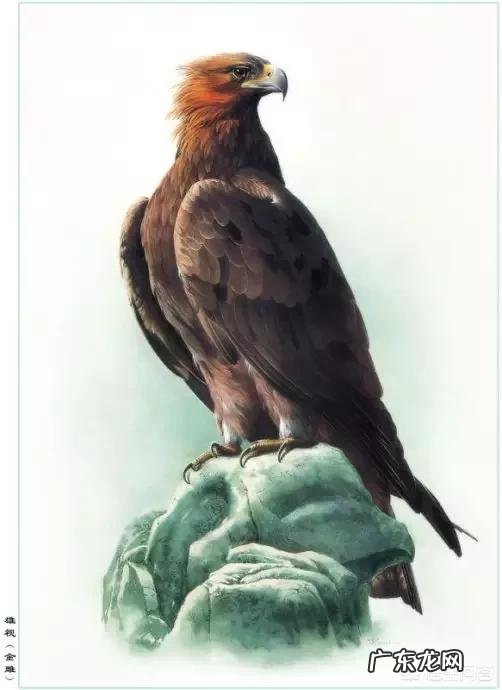 如何用"山地玩都,百花兴义,喜迎国庆"作一首藏头诗?