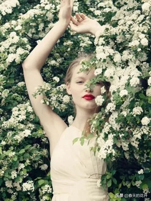 你听过最忧伤的句子是什么？