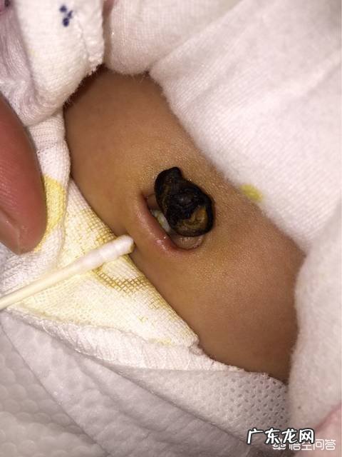 宝宝出生的第一个月，需要特别注意的护理知识有哪些？