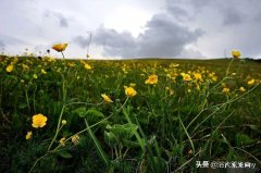 如果有一天，你失去了现有的安逸生活，失去了现有的一切经济来源，你必须依靠自己，你会