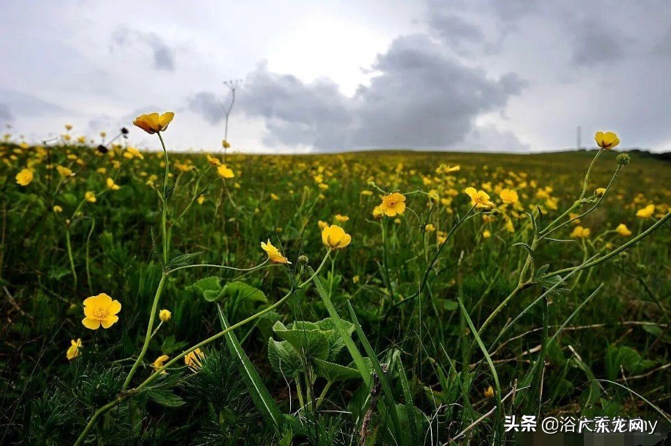 如果有一天，你失去了现有的安逸生活，失去了现有的一切经济来源，你必须依靠自己，你会怎么办？