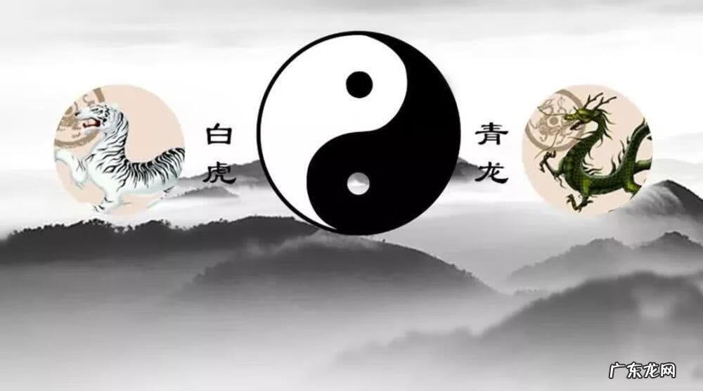 青龙生肖 风水学中的青龙是什么意思