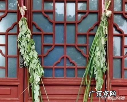 在农村里端午节是怎么挂艾草的?端午节挂的艾叶什么时候取下呢?