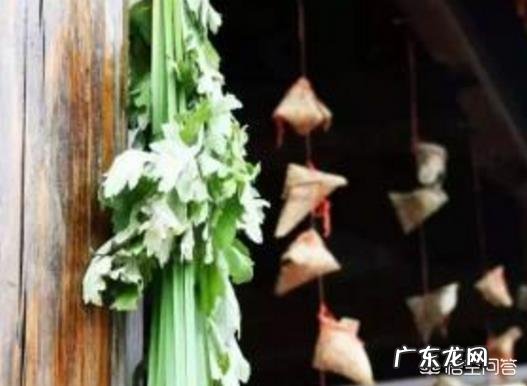 在农村里端午节是怎么挂艾草的?端午节挂的艾叶什么时候取下呢?