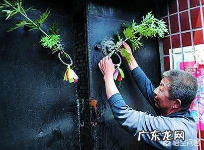 在农村里端午节是怎么挂艾草的？端午节挂的艾叶什么时候取下呢？