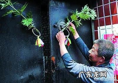 在农村里端午节是怎么挂艾草的?端午节挂的艾叶什么时候取下呢?