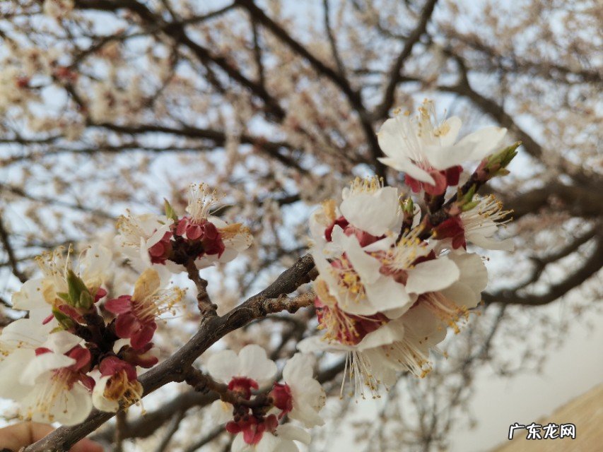 开10元店能赚钱吗?