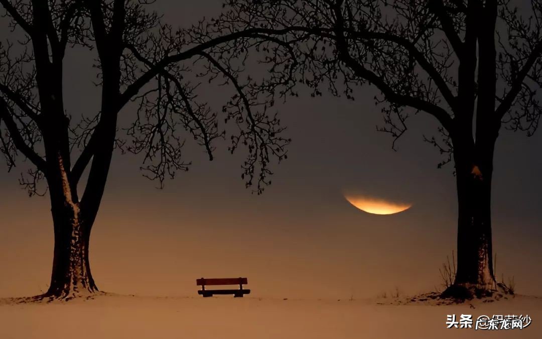 在心里感觉特别压抑孤独的时候，该怎么办？