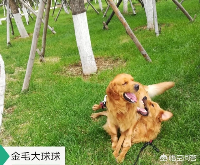 如何培养孩子的幽默感？