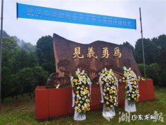 九峰寿安林苑怎么样 武汉九峰寿安林苑