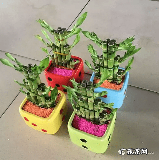 竹筒流水器的制作视频 竹子风水轮制作大全