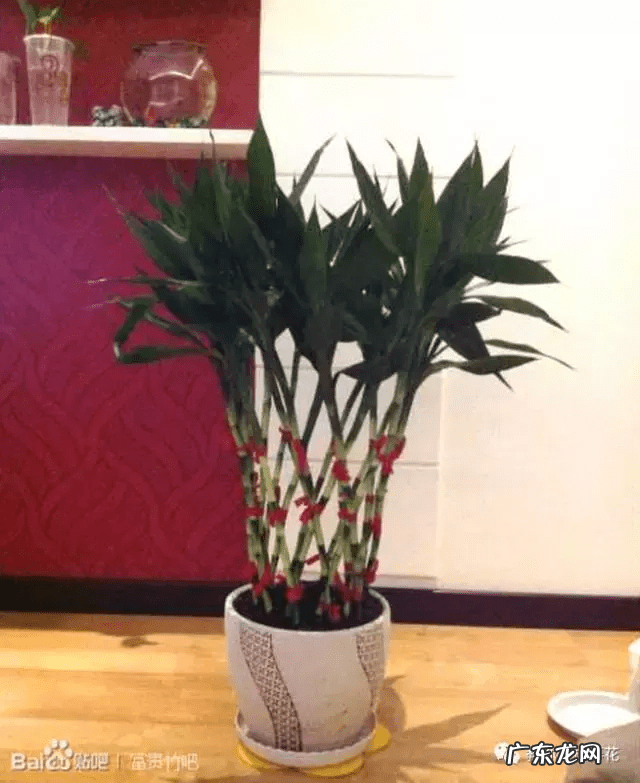 竹筒流水器的制作视频 竹子风水轮制作大全