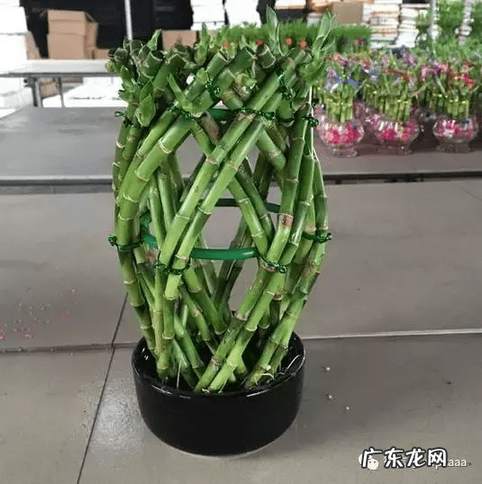 竹筒流水器的制作视频 竹子风水轮制作大全