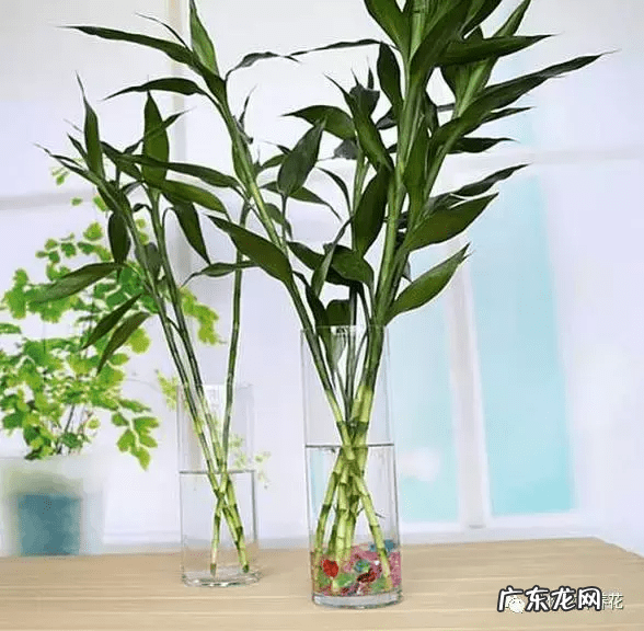 竹筒流水器的制作视频 竹子风水轮制作大全