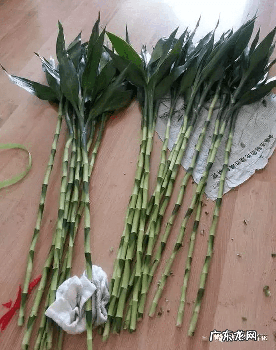 竹筒流水器的制作视频 竹子风水轮制作大全