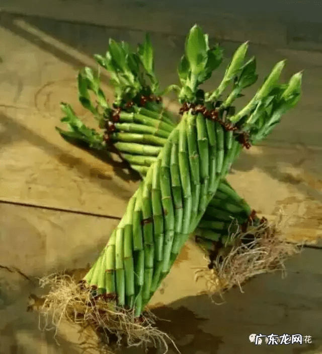 竹筒流水器的制作视频 竹子风水轮制作大全