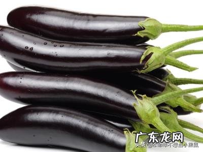 如何判断茄子的老嫩,怎样挑选嫩的茄子?