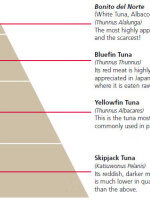 如何自制吞拿鱼 吞拿鱼是什么鱼?