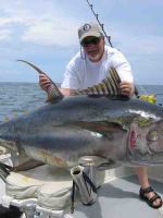 如何自制吞拿鱼 吞拿鱼是什么鱼?