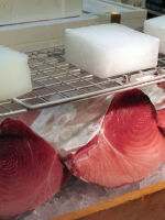 如何自制吞拿鱼 吞拿鱼是什么鱼?