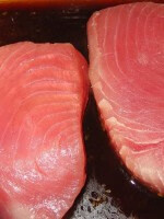 如何自制吞拿鱼 吞拿鱼是什么鱼?