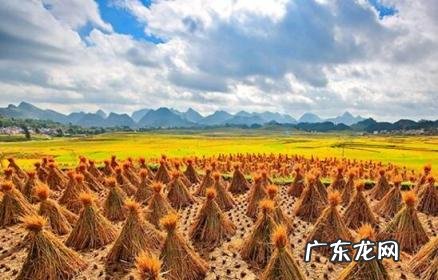 立秋吃什么传统美食养生 立秋吃啥好吃又养生