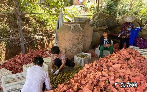 城堡传说3修改器 三国小镇ce修改教程