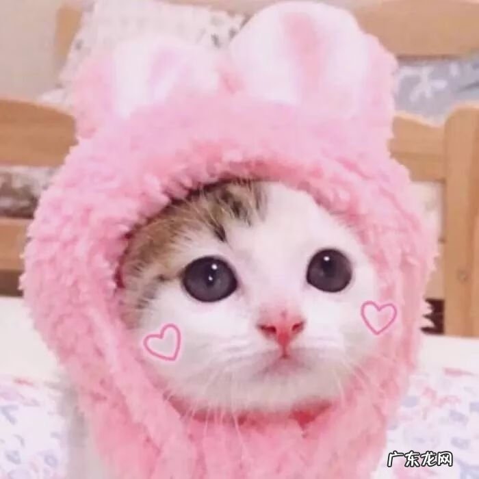 soso问问 soso 一般