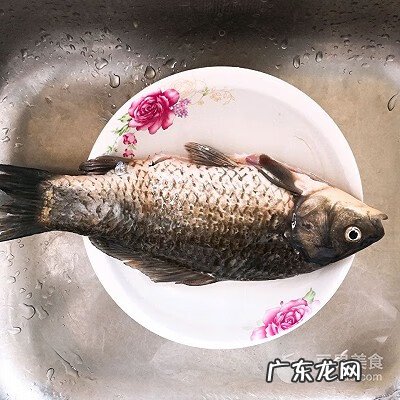 鱼豆腐汤 鲫鱼豆腐汤的做法