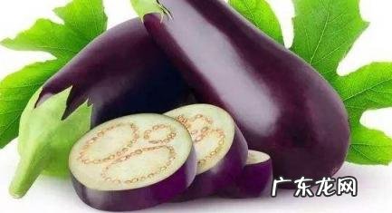茄子半生半熟吃了会中毒吗 茄子半生半熟吃了会中毒吗视频