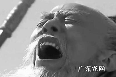 诸葛亮骂王朗 原文 诸葛亮骂王朗的台词