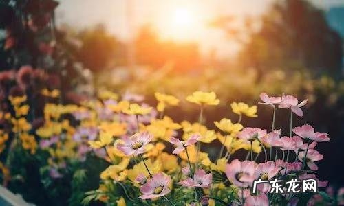 熬过人生低谷期的句子图片 挺过去熬过去霸气句子