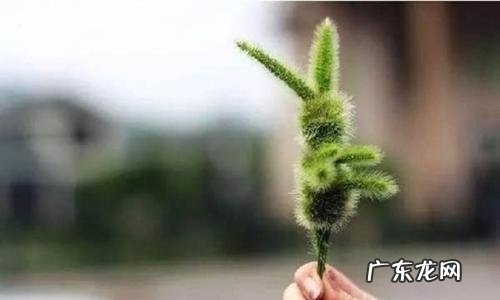 熬过人生低谷期的句子图片 挺过去熬过去霸气句子