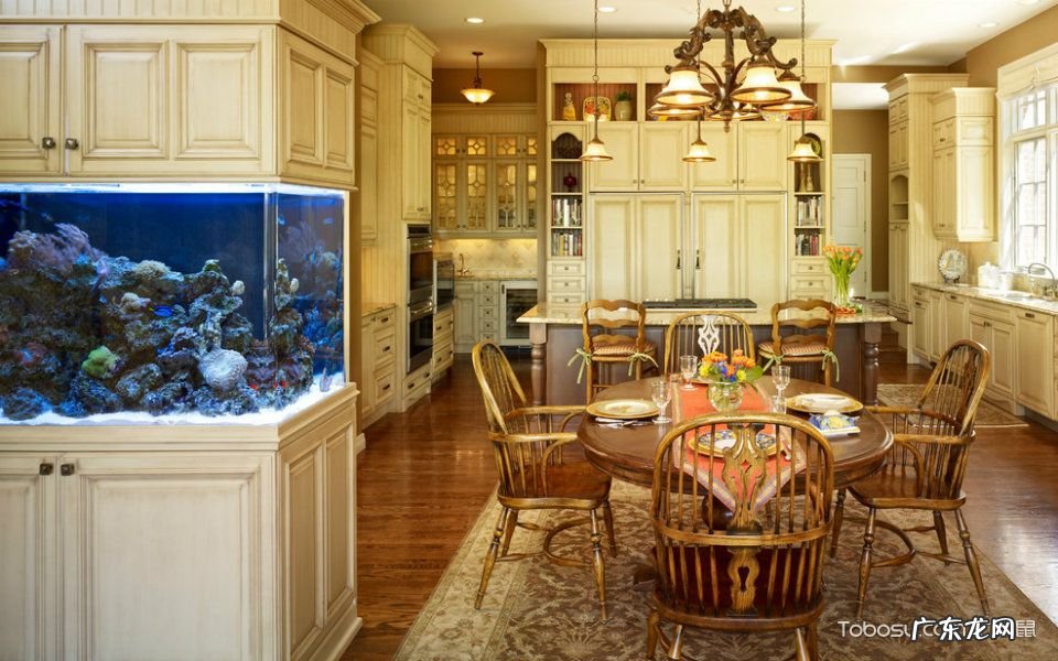 养鱼风水 鱼缸的风水讲究