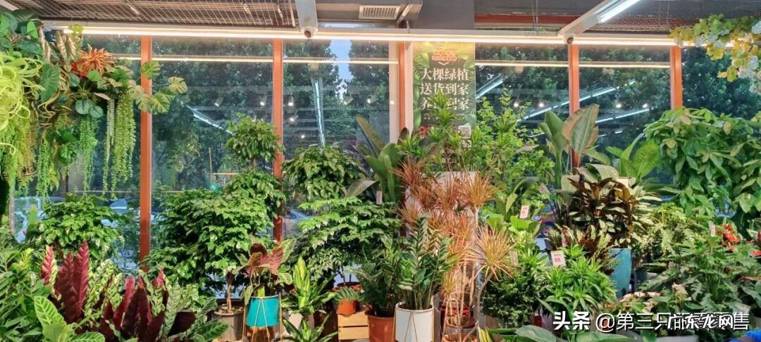 现在开文具店赚钱吗 文具店