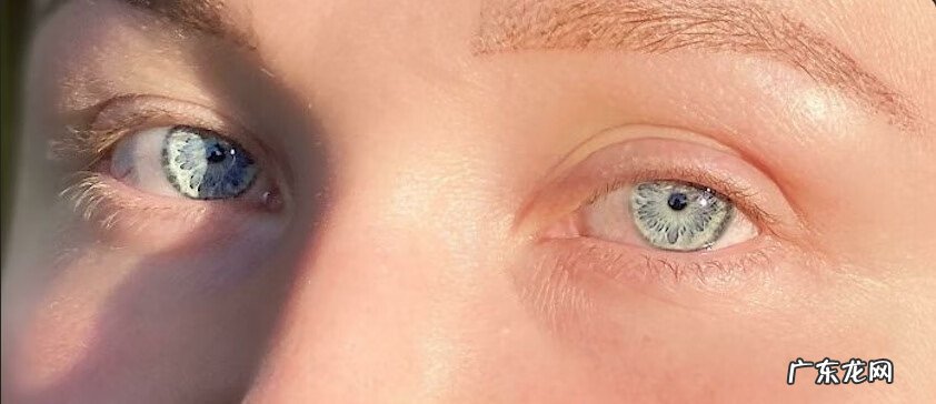 基因遗传 遗传基因的神奇