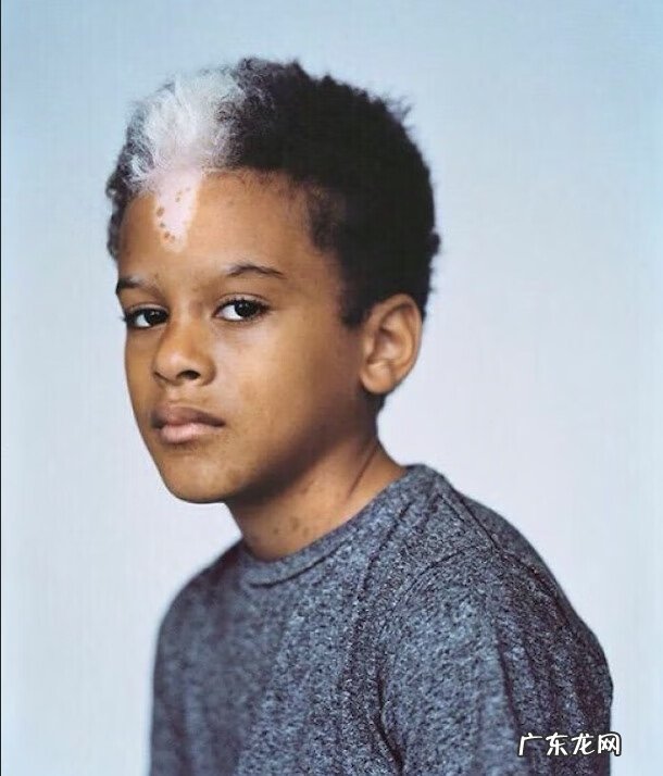 基因遗传 遗传基因的神奇