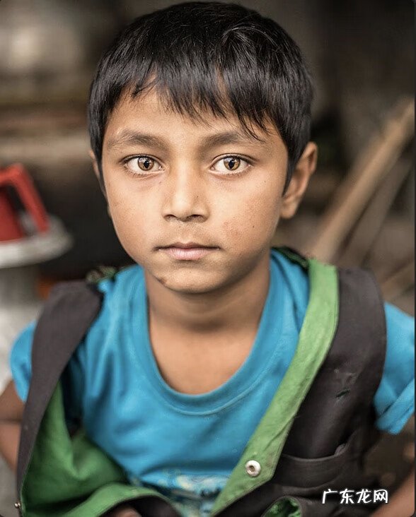 基因遗传 遗传基因的神奇