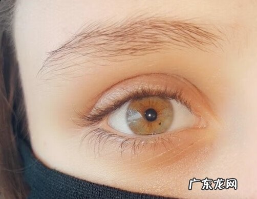 基因遗传 遗传基因的神奇