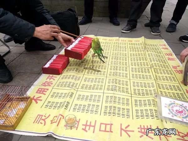 风水先生看房子 合肥哪有清宅子的风水先生