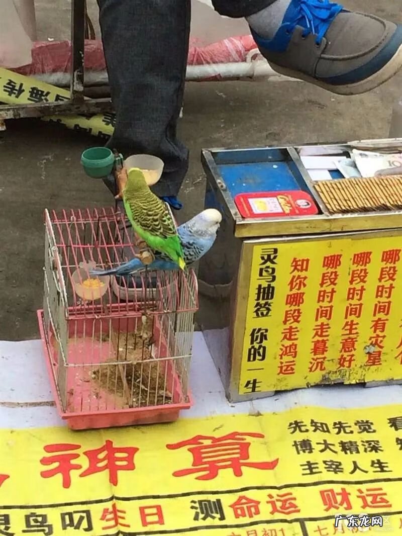 风水先生看房子 合肥哪有清宅子的风水先生