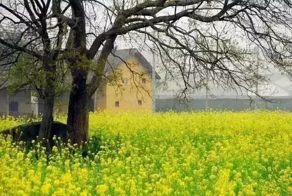 清远最好风水大师 清远风水好的地方