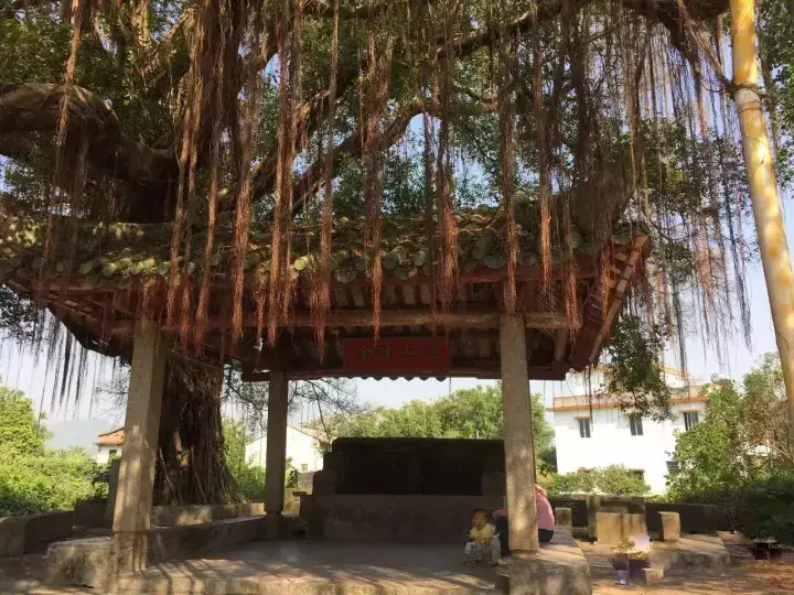 清远最好风水大师 清远风水好的地方