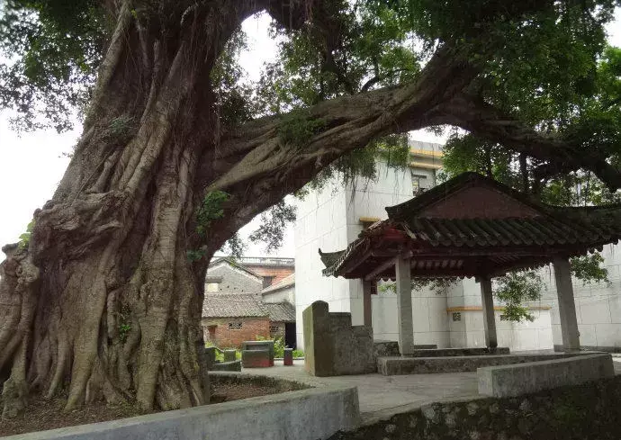 清远最好风水大师 清远风水好的地方