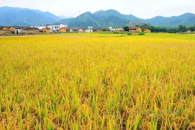 清远最好风水大师 清远风水好的地方