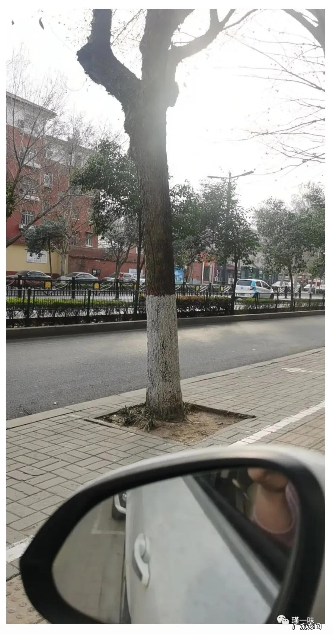 最有趣的事作文500字 一件有趣的事作文500字初二