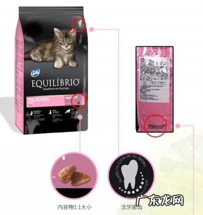 进口幼猫粮哪个牌子好 巴西淘淘幼猫猫粮怎么样啊