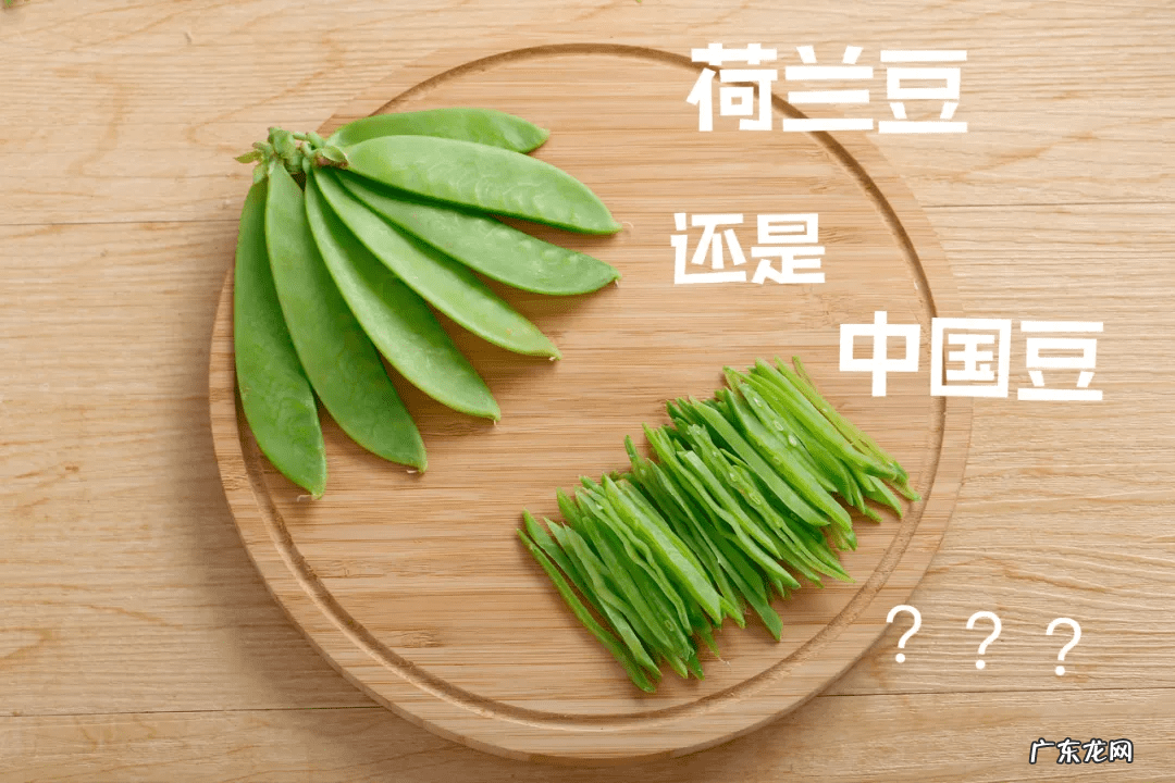 荷兰豆的家常做法大全 荷兰豆为什么叫荷兰豆