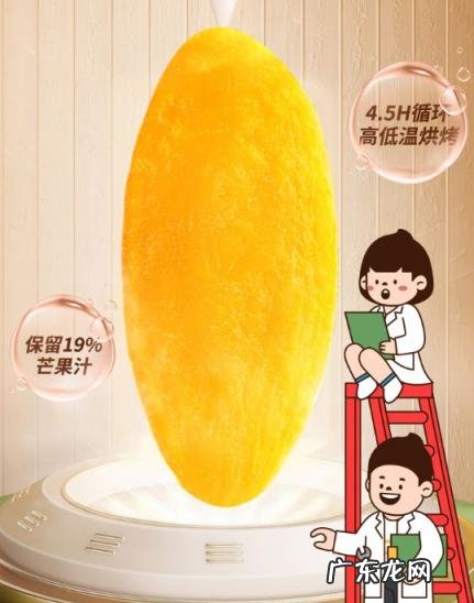 韩梅梅李雷和歪果仁 李雷与韩梅梅芒果干