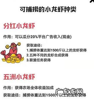 农场世界怎么玩 农场世界